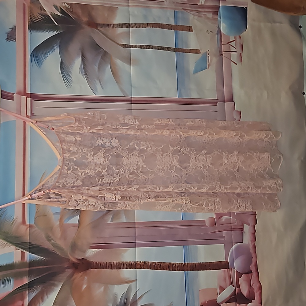 Baby Pink Lingerie Slip